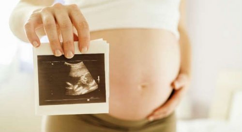 sviluppo-feto-ecografia