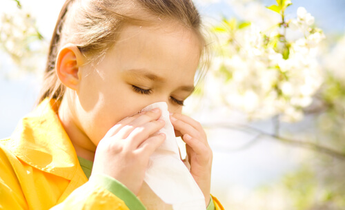 10 consejos para limpiar y prevenir la alergia infantil