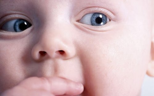 9 productos para bebés que las madres recomiendan