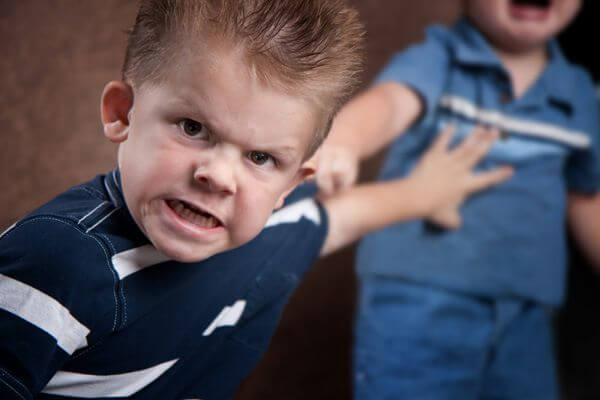 La agresividad infantil