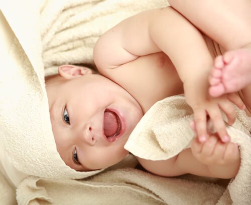 shutterstock_113344633