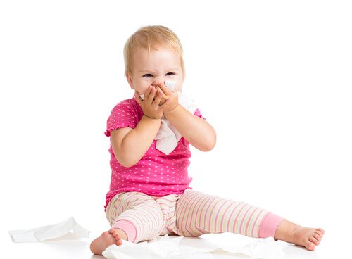 shutterstock_116511676