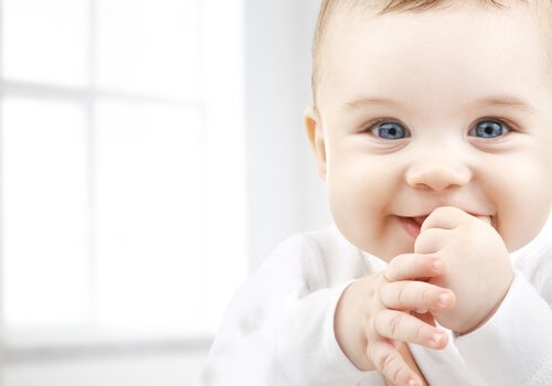 shutterstock_186579344