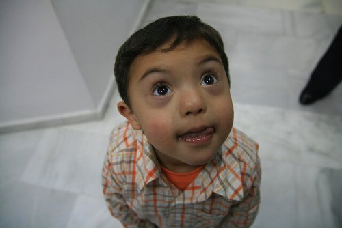 4448526215_fd3a3a15a3_z