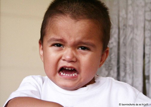 494017951_195543e1f5_z