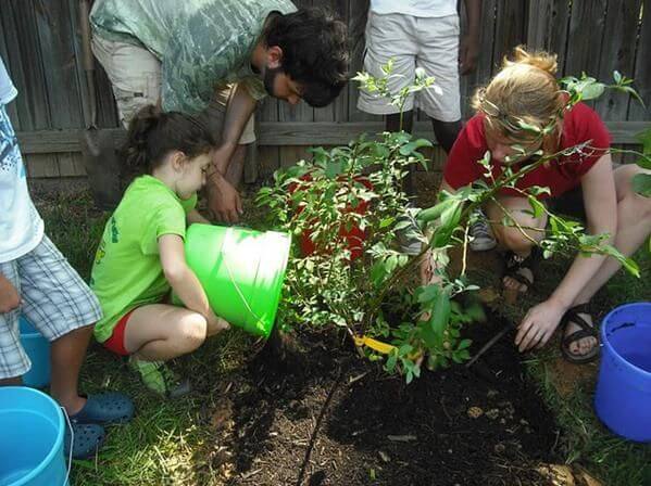 ¿Cómo incentivar el cuidado del medio ambiente en los niños?