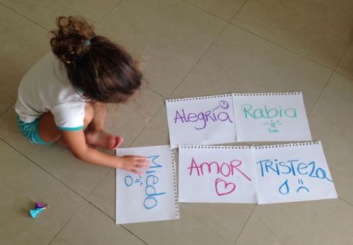 Diccionario de los sentimientos