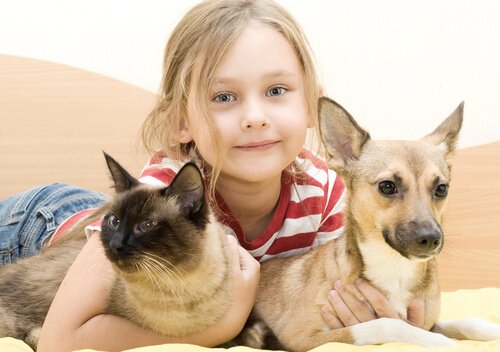 A young girl snuggling a dog and a cat.