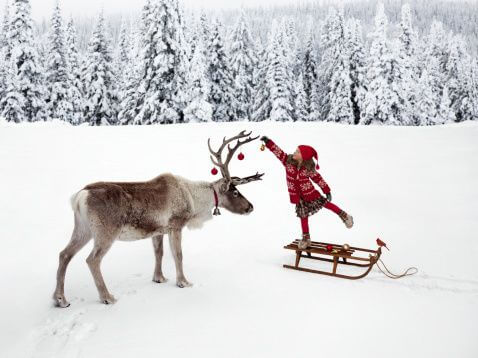 15a1f70410a807661be7cf7dec6adff7