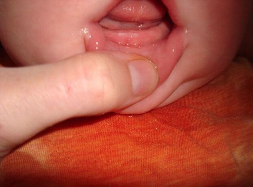 2d9f7d750e242a4215cdb1c65ee2234f