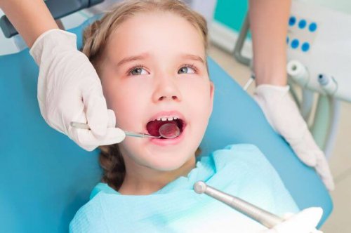 Visita al dentista, ¿cómo acostumbrarlos?
