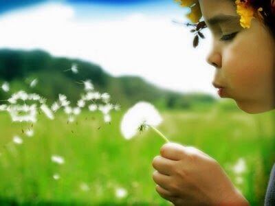 68d551cb9c46f881543ad63ac0d95821