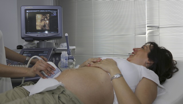 Descubre lo que hace tu bebé mientras está en el útero