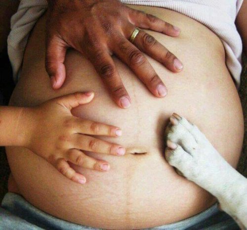 barriga-de-embarazada-con-manos-de-familia