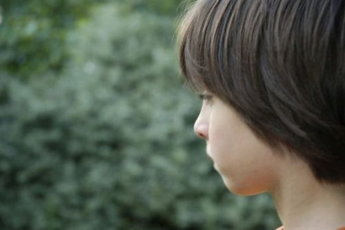 Principales características del niño autista