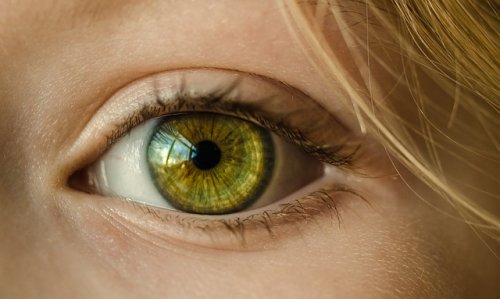 La importancia de las visitas al oftalmólogo