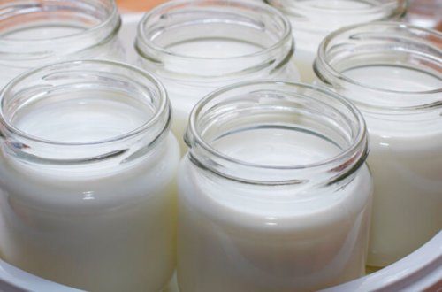 Jogurtin tulisi kuulua lasten ruokavalioon.