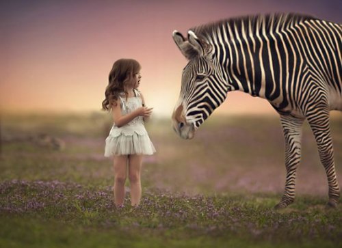 069b7e5aebf4b52664719218c06febb1