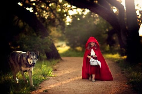 19d3c7daeda40bd5469ccd5e06a9cd30