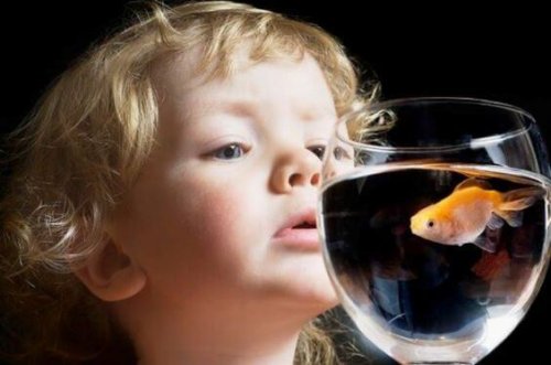 33afdb0fc0f2bc294124c71cff1a449d