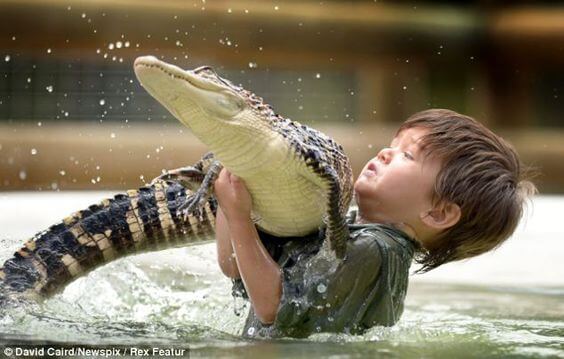 Miedo a los animales: ¡Soluciónalo!