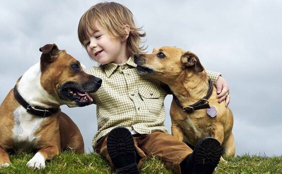 ¿Es recomendable regalarle una mascota a mi hijo?