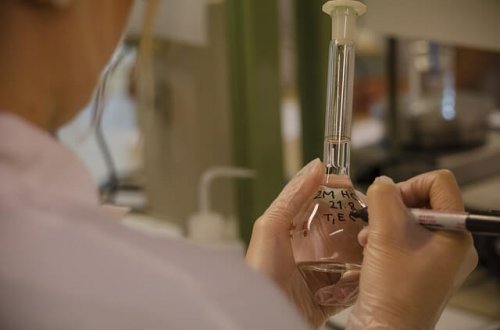 Fecundación invitro, ¿una buena opción?