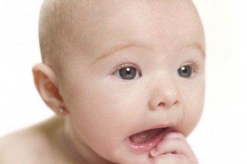 1ffc4d91aecead26000b315a57f24805