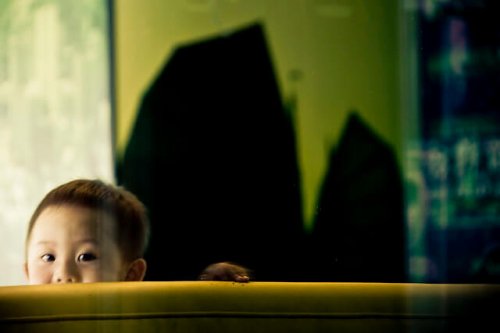 3506727851_3db36ea8e3_z