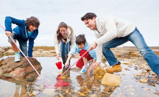 Actividades para aprovechar las vacaciones Actividades para aprovechar las vacaciones