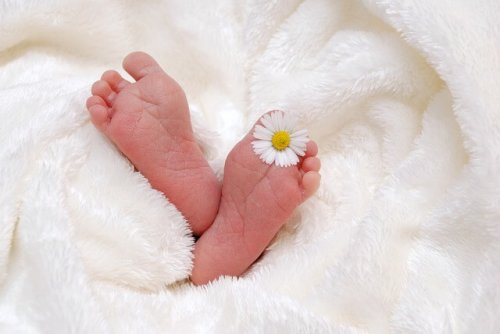 Cosas que debes saber sobre los recién nacidos