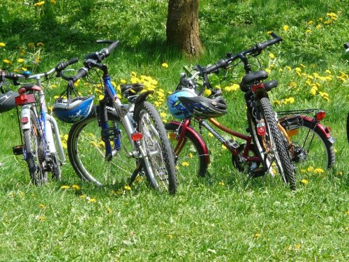bicycles-6895_960_720