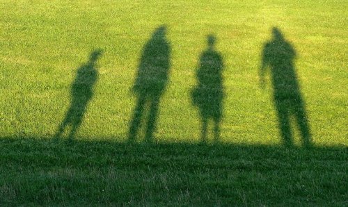 Ombres d'une famille sur une pelouse.