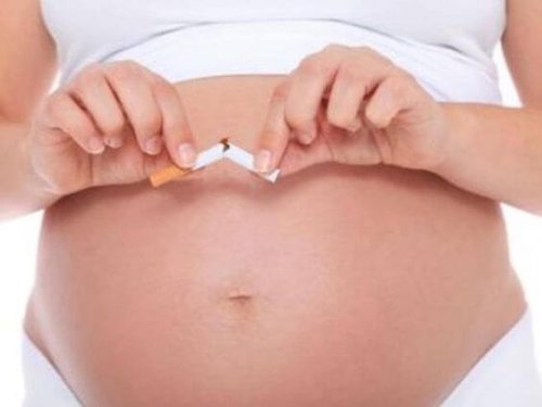 51c7105ca9aeef7d84eda2defde30517