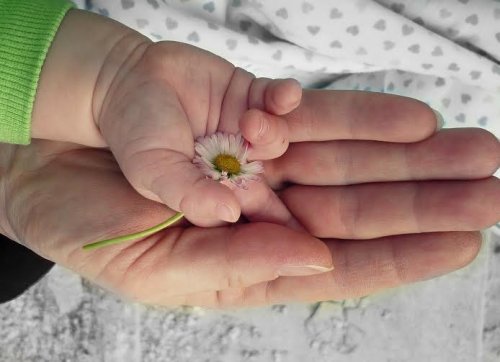 A baby holding a flower and resting his hand on his mother's hand.
