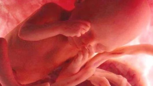 El ADN del bebé podría modificarse si fumas durante el embarazo