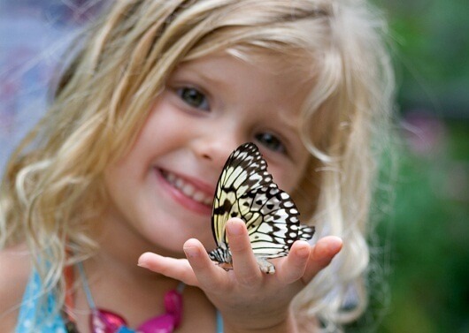 Los niños son como mariposas en el cielo