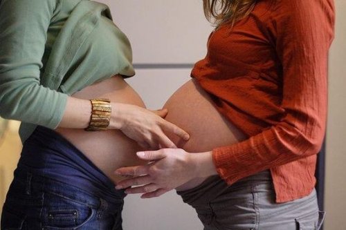 ¿Madres actuales han desacralizado la maternidad?