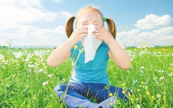 Cómo prevenir las alergias en los niños