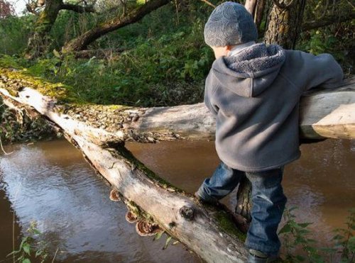 Enseña a tu hijo a descubrir todo lo que puede lograr