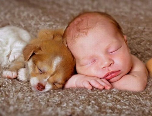 Por más tierna que parezca la escena, los especialistas no aconsejan que los recién nacidos convivan con animales en casa.