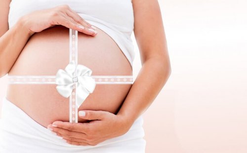 Vientres de alquiler: ¿ético, legal?