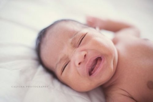 778f7cd2fe85eaf63194006351962630