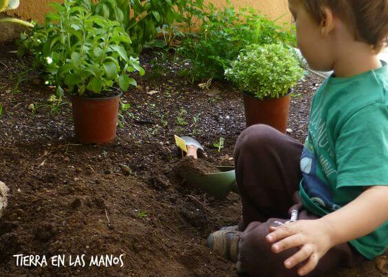 Agricultura preescolar: Enseña a los niños a cultivar sus alimentos