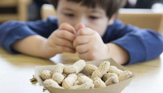 Alergias e intolerancias alimenticias en niños, ¿cómo distinguirlas?