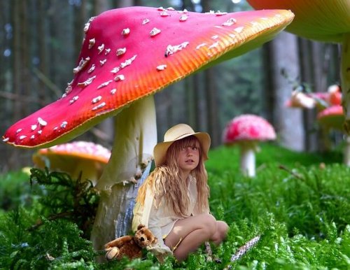 child-1443863_640