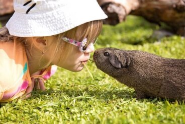 5 valores que tenemos que enseñar a los niños