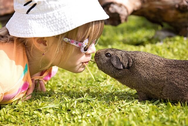 5 valores que tenemos que enseñar a los niños