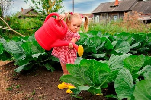 Siembra Esa Semilla Que Tu Hijo Tendr Que Cultivar Toda La Vida Eres