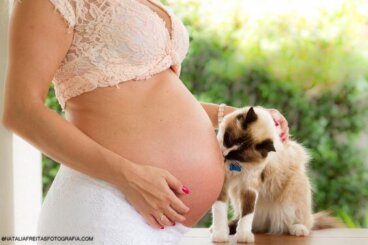 Mitos sobre los gatos y las mujeres embarazadas